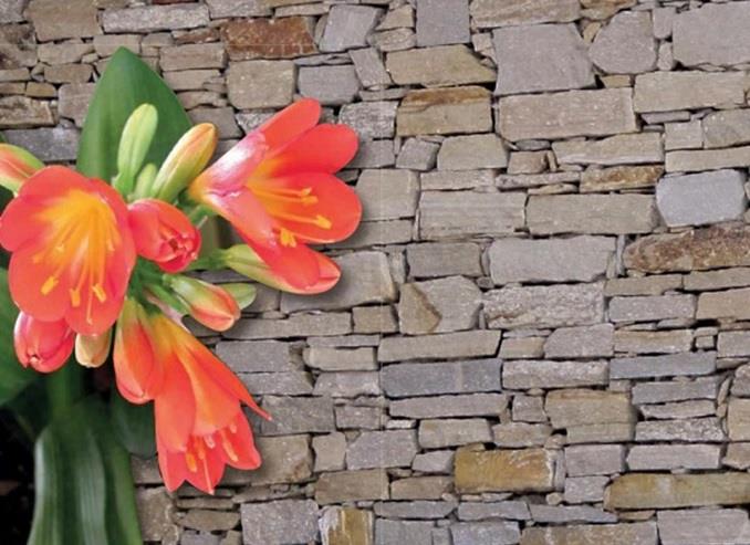 Rivestire facilmente una parete con le pietre da muro